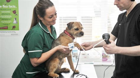Ashleigh veterinary centre reviews  At Vets4Pets Stockport we are dedicated to offering your pet high quality, affordable care